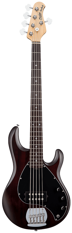 Sterling Sub Series Ray5 in Walnut Satin, 5-String