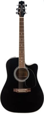 Takamine EF341SC Guitar Includes Official Hard Case