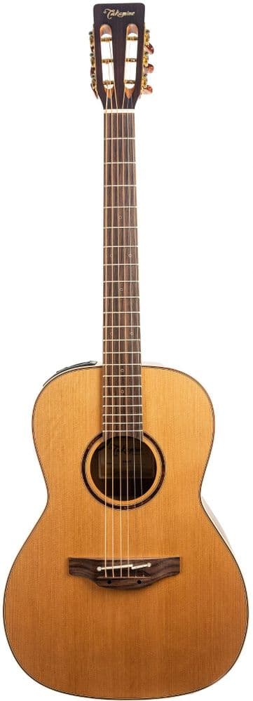 Takamine P3NY Pro Series Guitar, with Hard Case