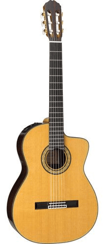 Takamine TH5C  Includes Official Hard Case