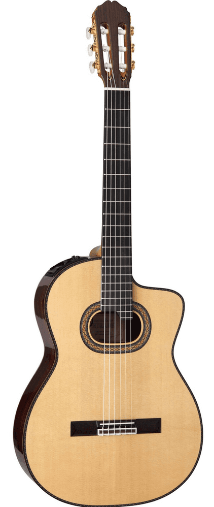 Takamine TH90  Includes Official Hard Case